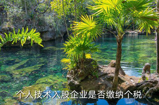 個人專利入股繳什么稅，請教稅法高手個人專利技術(shù)入股需繳稅嗎