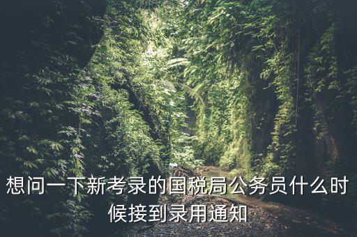 國(guó)稅錄取通知什么時(shí)候，今年國(guó)稅公務(wù)員正式錄用公告什么時(shí)候出