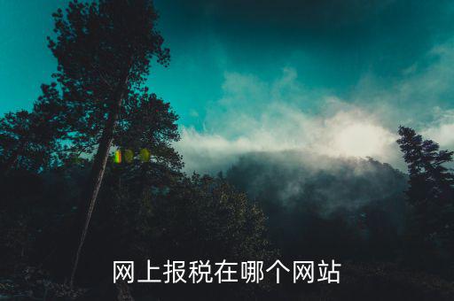 網(wǎng)上報(bào)稅上什么網(wǎng)站，一般納稅人增值稅在網(wǎng)上怎么扣稅哦哪個(gè)網(wǎng)