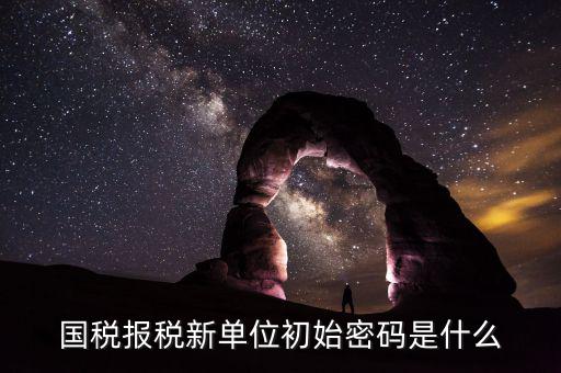 國稅申報登錄密碼是什么，抄報稅密碼應該是什么啊