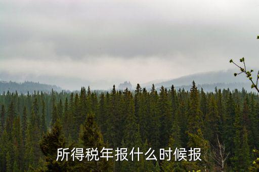 國稅企業(yè)所得稅年報什么時候開始報，什么時間報企業(yè)所得稅年度納稅
