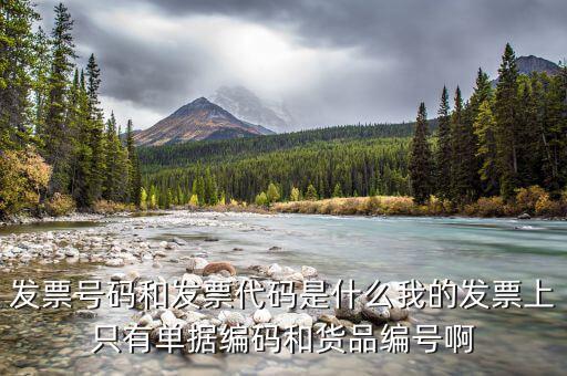專票發(fā)票號是什么，發(fā)票號碼是指哪個(gè)號碼