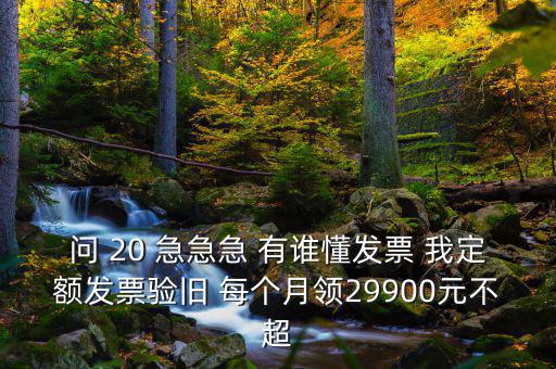 問 20 急急急 有誰懂發(fā)票 我定額發(fā)票驗(yàn)舊 每個(gè)月領(lǐng)29900元不超