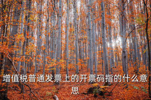 稅控盤開票碼是什么意思，增值稅普通發(fā)票上的開票碼指的什么意思