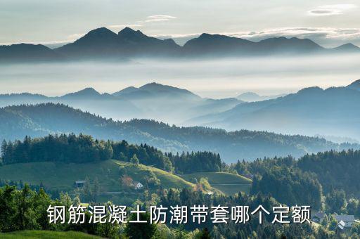 迎春套什么定額，套什么定額