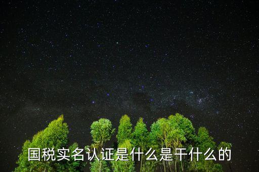 國稅實名制認(rèn)證要什么手續(xù)，國稅實名認(rèn)證是什么是干什么的