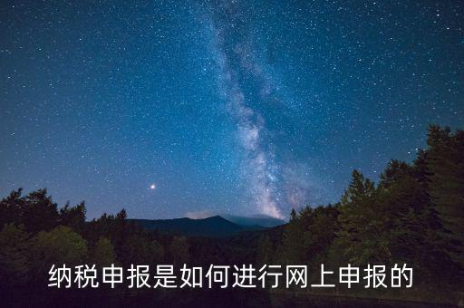 納稅人的網(wǎng)上申報屬于什么方式，網(wǎng)上申報屬于