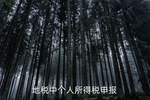 地稅申報個稅是什么意思，為什么地稅要登記個稅呢