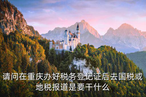 地稅報道是什么，地稅報的是哪些稅月報還是季報還是年報