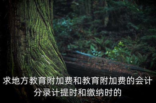 地方教育費附加是什么意思，教育費附加代表什么意思