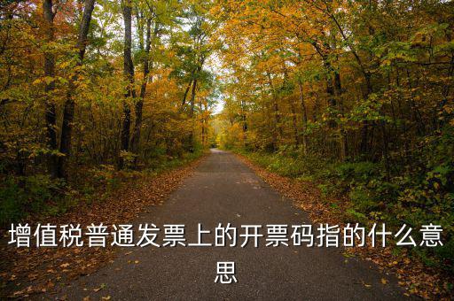 什么是發(fā)票信息碼，增值稅普通發(fā)票上的開(kāi)票碼指的什么意思