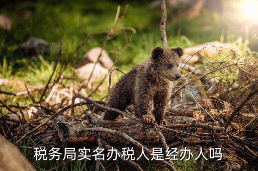辦稅負(fù)責(zé)人是什么意思，現(xiàn)在實(shí)行的辦稅人員實(shí)名登記其中的財(cái)務(wù)負(fù)責(zé)人辦稅人員發(fā)票經(jīng)辦人