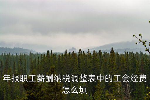 工會(huì)經(jīng)費(fèi)應(yīng)稅項(xiàng)填什么，網(wǎng)上報(bào)稅時(shí)又多了一項(xiàng)工會(huì)經(jīng)費(fèi)怎樣填寫(xiě)計(jì)算
