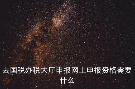 國稅網(wǎng)上申報用什么，去國稅辦稅大廳申報網(wǎng)上申報資格需要什么