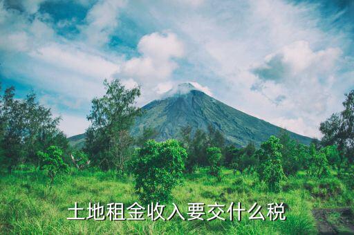 租賃土地需要交什么稅，土地租賃應(yīng)該繳哪些稅收