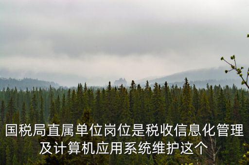 什么是國稅信息化，信息化在稅務(wù)管理中有什么作用
