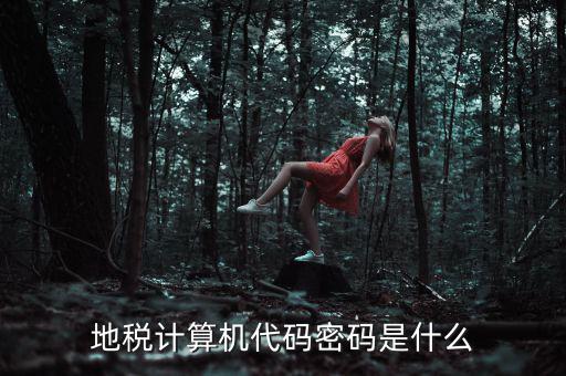 地稅稅務登陸密碼是什么意思，湖北地稅網(wǎng)絡發(fā)票登陸密碼是什么急急急
