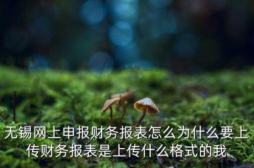 為什么要上傳報(bào)表，無(wú)錫網(wǎng)上申報(bào)財(cái)務(wù)報(bào)表怎么為什么要上傳財(cái)務(wù)報(bào)表是上傳什么格式