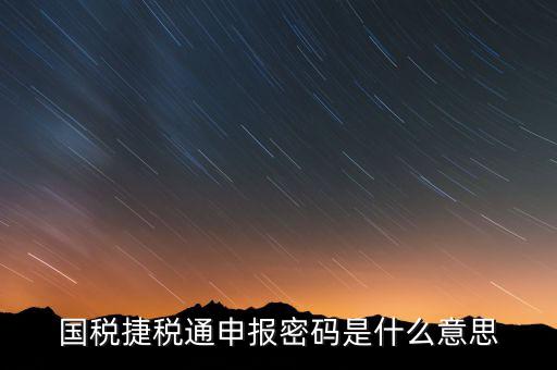 國稅申報登陸密碼是什么意思，國稅第一次網(wǎng)上申報的登陸密碼是什么