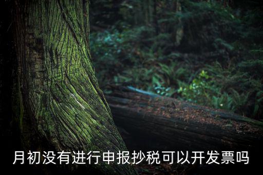 月初沒(méi)有進(jìn)行申報(bào)抄稅可以開發(fā)票嗎