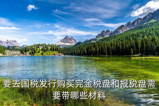 購買金稅盤要帶什么，購買增值稅發(fā)票系統(tǒng)金稅盤需帶什么資料
