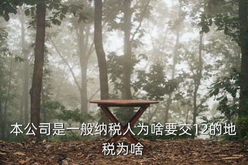 地稅12是什么稅，本公司是一般納稅人為啥要交12的地稅為啥