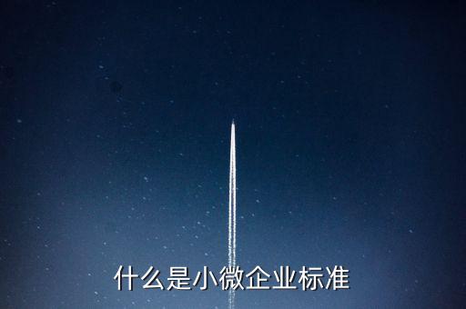 什么樣的標(biāo)準(zhǔn)是小薇企業(yè)，什么是小微企業(yè)標(biāo)準(zhǔn)