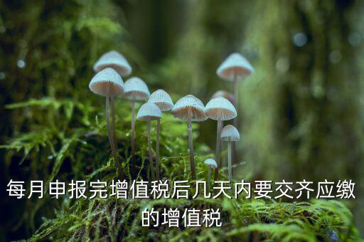 每月申報完增值稅后幾天內(nèi)要交齊應(yīng)繳的增值稅