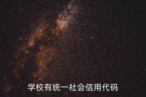 社會識別代碼是什么問題，社會信用代碼是不是納稅人識別號