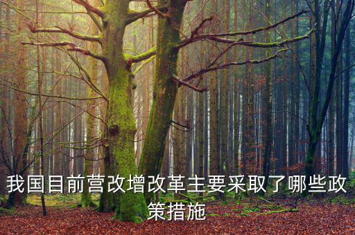 目前營改增政策暫不包括什么，營改增的范圍不包括  A軌道交通運輸 B航空公司出租飛機配