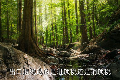 出口退稅退的是什么稅，出口退稅退的是進(jìn)項(xiàng)稅還是銷項(xiàng)稅