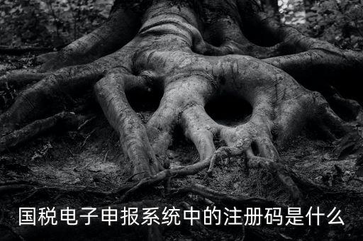 納稅申報(bào)碼是什么碼，什么是納稅申報(bào)號(hào)