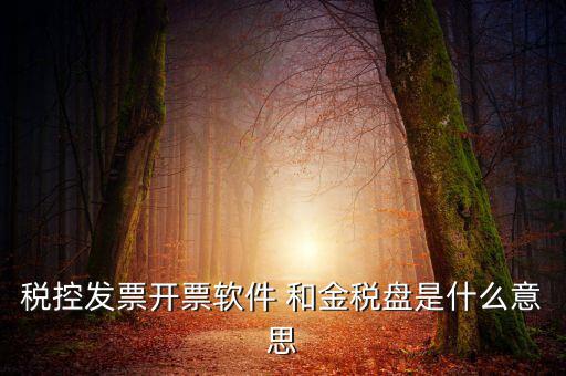 稅控發(fā)票開(kāi)票軟件 和金稅盤(pán)是什么意思