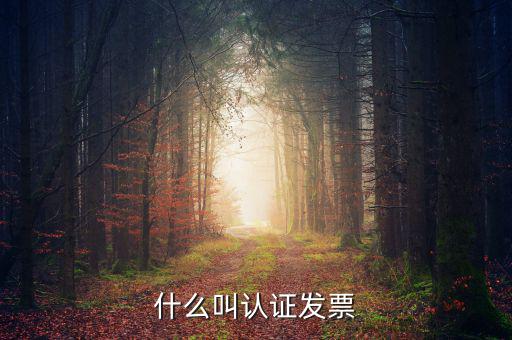 什么叫認證發(fā)票，什么叫認證增值稅發(fā)票如何認證好像還有手工認證是怎么回事啊