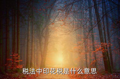 地稅交的5元印花稅是什么意思球鞋，稅法中印花稅是什么意思
