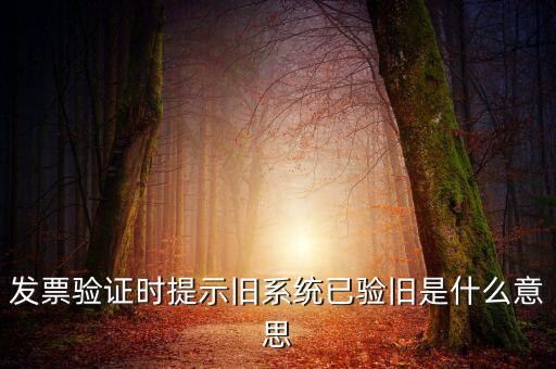 發(fā)票的驗(yàn)舊時(shí)間是什么意思，發(fā)票驗(yàn)證時(shí)提示舊系統(tǒng)已驗(yàn)舊是什么意思