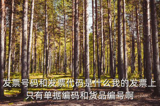 發(fā)票號(hào)碼和發(fā)票代碼是什么我的發(fā)票上只有單據(jù)編碼和貨品編號(hào)啊