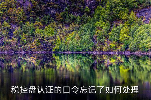 稅控盤口令認(rèn)證失敗什么情況，稅控盤認(rèn)證的口令忘記了如何處理