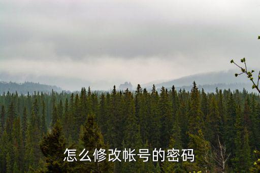 如何修改稅務(wù)賬號密碼是什么，山東省國家稅務(wù)局網(wǎng)上辦稅平臺納稅人的密碼怎么改