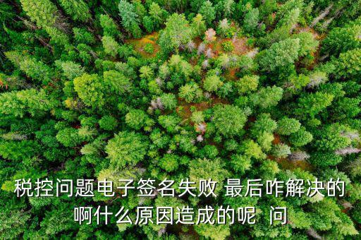 稅控問(wèn)題電子簽名失敗 最后咋解決的啊什么原因造成的呢  問(wèn)