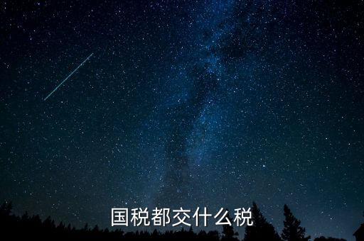 國稅五項(xiàng)稅種都是什么，國稅包括哪些稅種