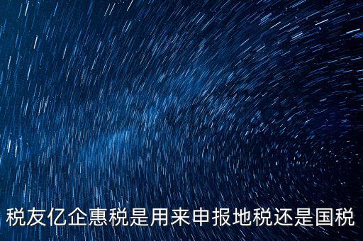 稅友報(bào)稅的是什么，稅友億企惠稅是用來申報(bào)地稅還是國稅