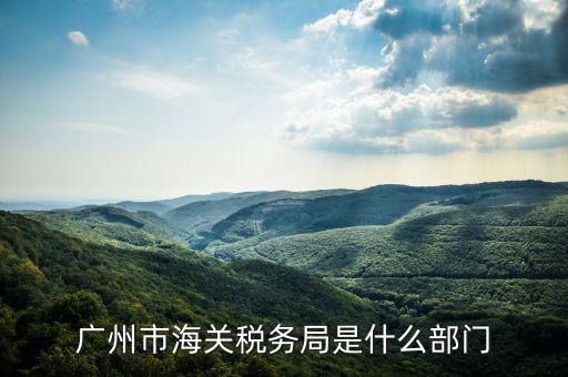 稅務(wù)總局國際司干什么，國家稅務(wù)總局是正部級
