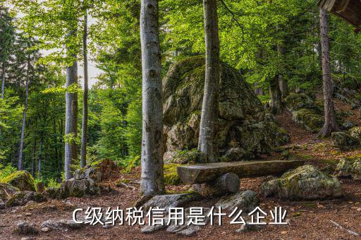稅務(wù)等級c級是什么意思，申請一般納稅人abc類是什么意思