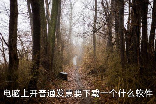 網(wǎng)絡(luò)開票需要下載什么軟件下載，電腦打發(fā)票是不是要下載一個(gè)什么軟件