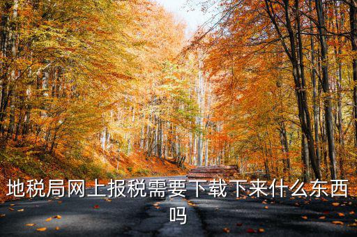 辦地稅都需要什么軟件，地稅網(wǎng)上申報(bào)軟件