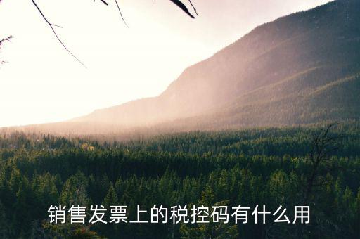發(fā)票稅控碼是什么，國(guó)稅發(fā)票稅控碼