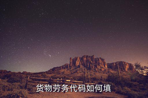 貨物勞務(wù)代碼是什么，貨物勞務(wù)代碼如何填