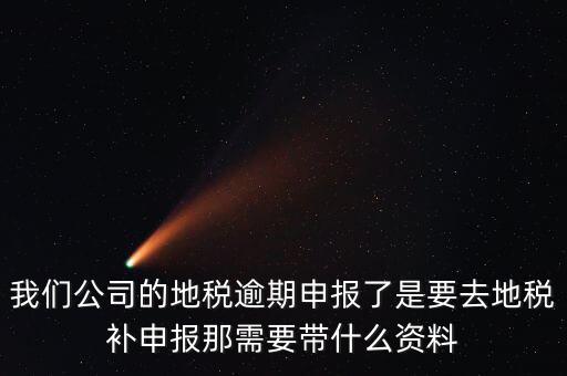 逾期申報需要帶什么資料，我們公司的地稅逾期申報了是要去地稅補申報那需要帶什么資料