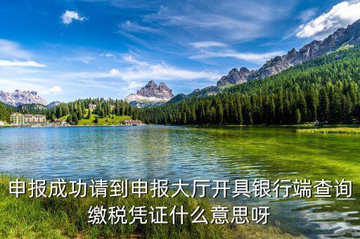 銀行端查詢繳稅憑證蓋什么章，銀行端查詢繳款憑證工會蓋什么章